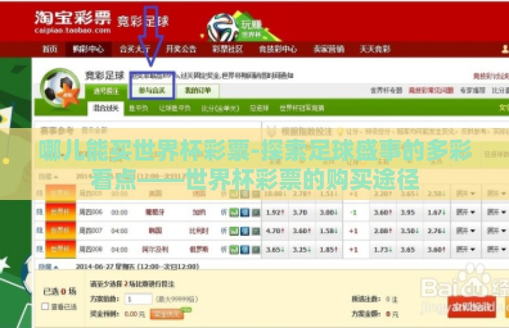 哪儿能买世界杯彩票-探索足球盛事的多彩看点——世界杯彩票的购买途径
