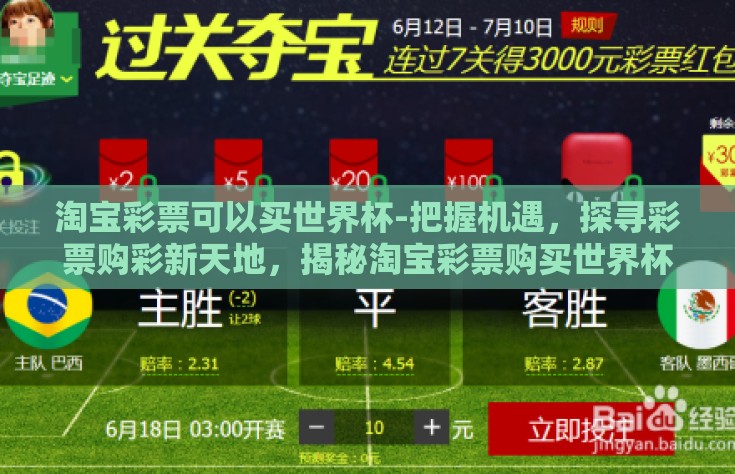 淘宝彩票可以买世界杯-把握机遇，探寻彩票购彩新天地，揭秘淘宝彩票购买世界杯的技巧与乐趣