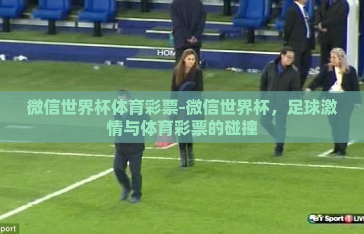 微信世界杯体育彩票-微信世界杯，足球激情与体育彩票的碰撞
