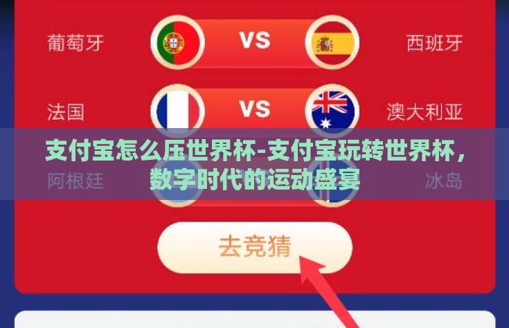 支付宝怎么压世界杯-支付宝玩转世界杯，数字时代的运动盛宴