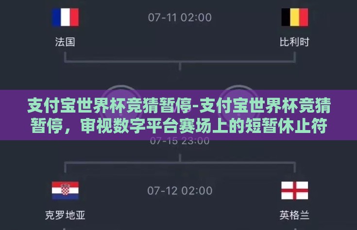 支付宝世界杯竞猜暂停-支付宝世界杯竞猜暂停，审视数字平台赛场上的短暂休止符