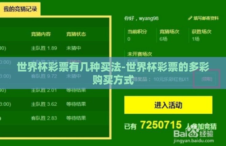 世界杯彩票有几种买法-世界杯彩票的多彩购买方式