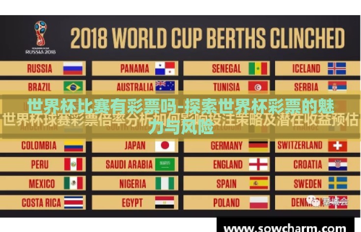世界杯比赛有彩票吗-探索世界杯彩票的魅力与风险