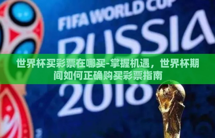 世界杯买彩票在哪买-掌握机遇，世界杯期间如何正确购买彩票指南
